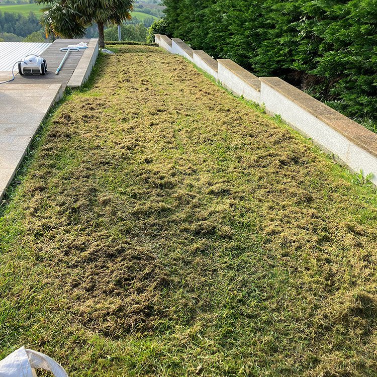 <strong>Scarification de gazon</strong> <small>© Philippe Serre</small>