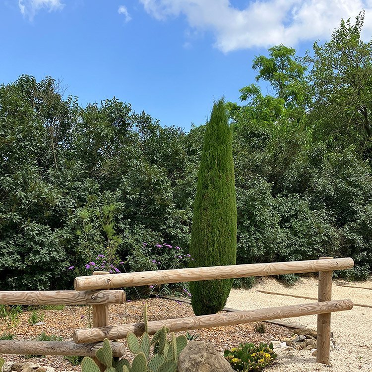 <strong>Clôture en bois traité</strong> <small>© Philippe Serre</small>