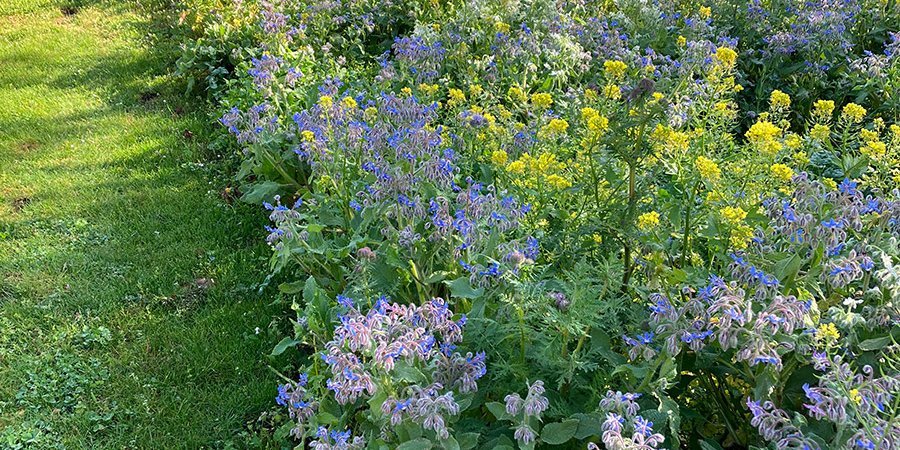 Philippe SERRE SAS : Entretien extérieur à Romans-sur-Isère et sa région